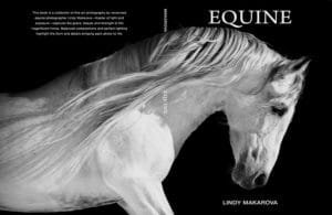 White Dry Ink application sample