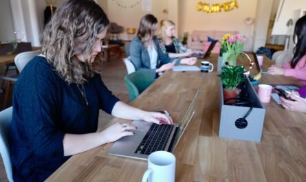 woman using laptop photography