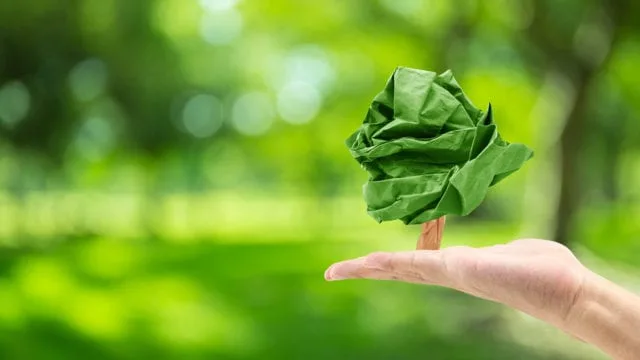 Transacciones sin papel a través de WhatsApp para celebrar el Día Mundial del Medio Ambiente